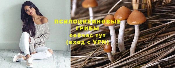 СК Липки