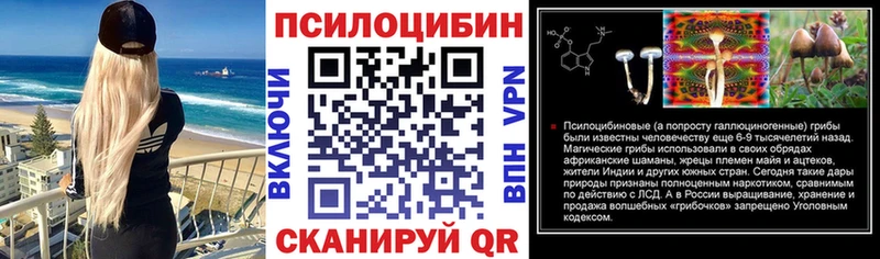 hydra ONION Юрюзань Псилоцибиновые грибы Psilocybine cubensis сколько стоит